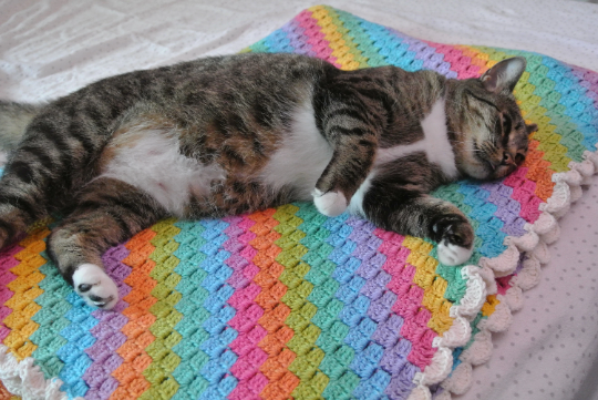 Over the Rainbow Twin Crochet Blanket