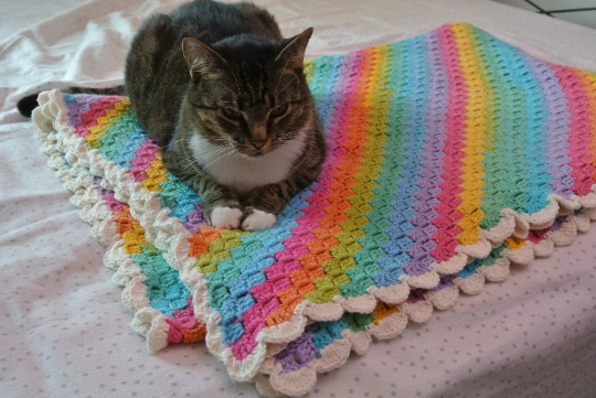Over the Rainbow Twin Crochet Blanket