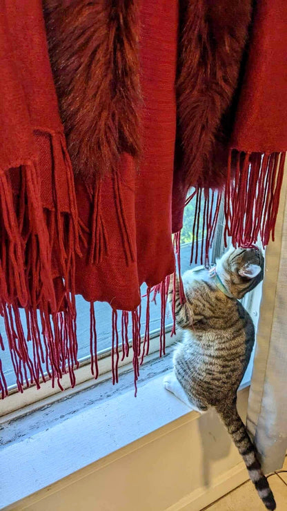 Merlot Fall Faux Fur Vest w/ Fringe