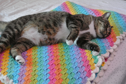 Over the Rainbow Twin Crochet Blanket