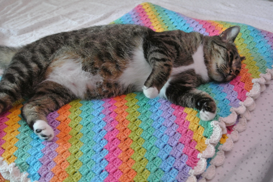 Over the Rainbow Twin Crochet Blanket