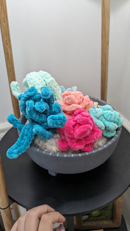 8 in Crochet Succulent Variety Planter | Home Decor | Office Decor
