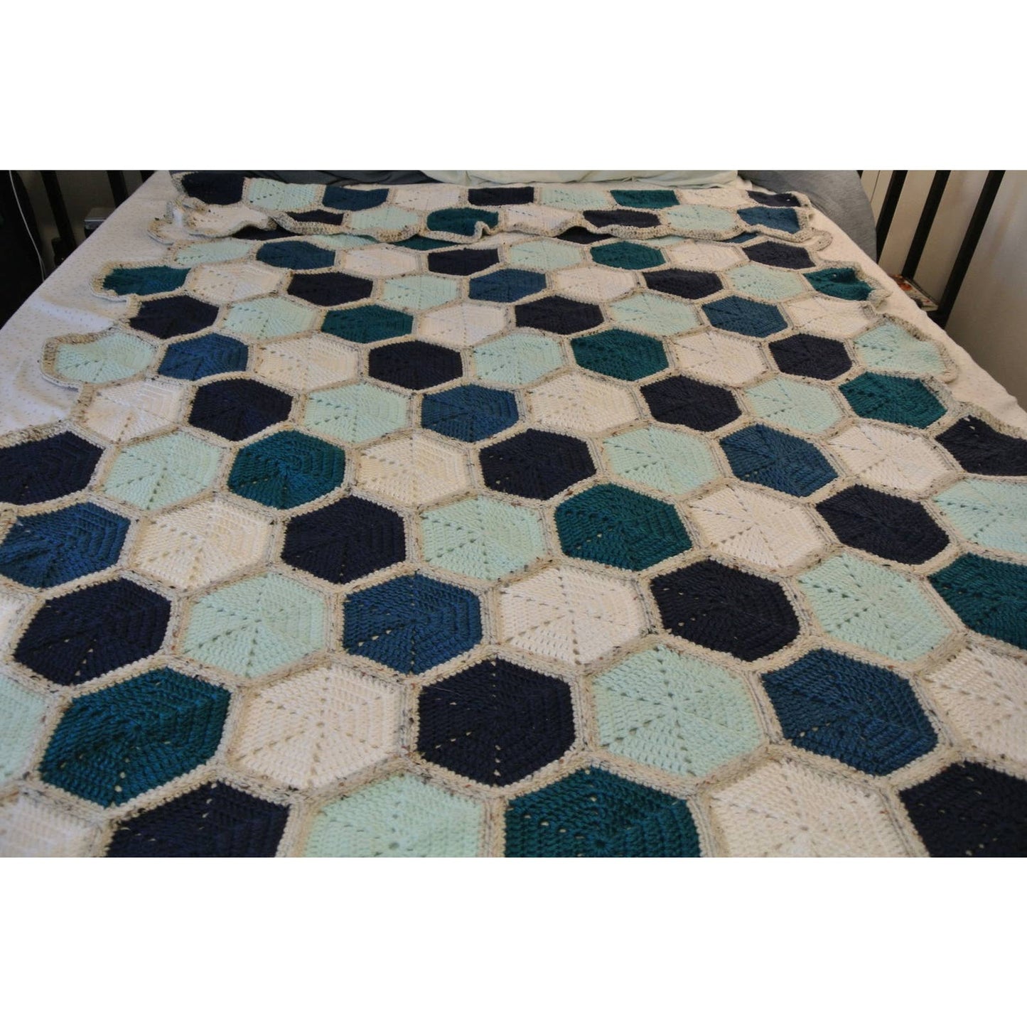 Sand Dollars on the Beach Blanket